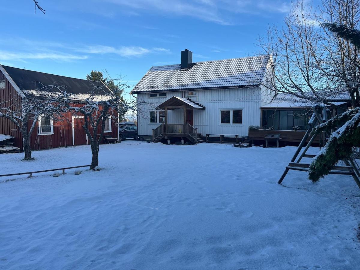 Older Villa With Large Garden Trondheim Luaran gambar