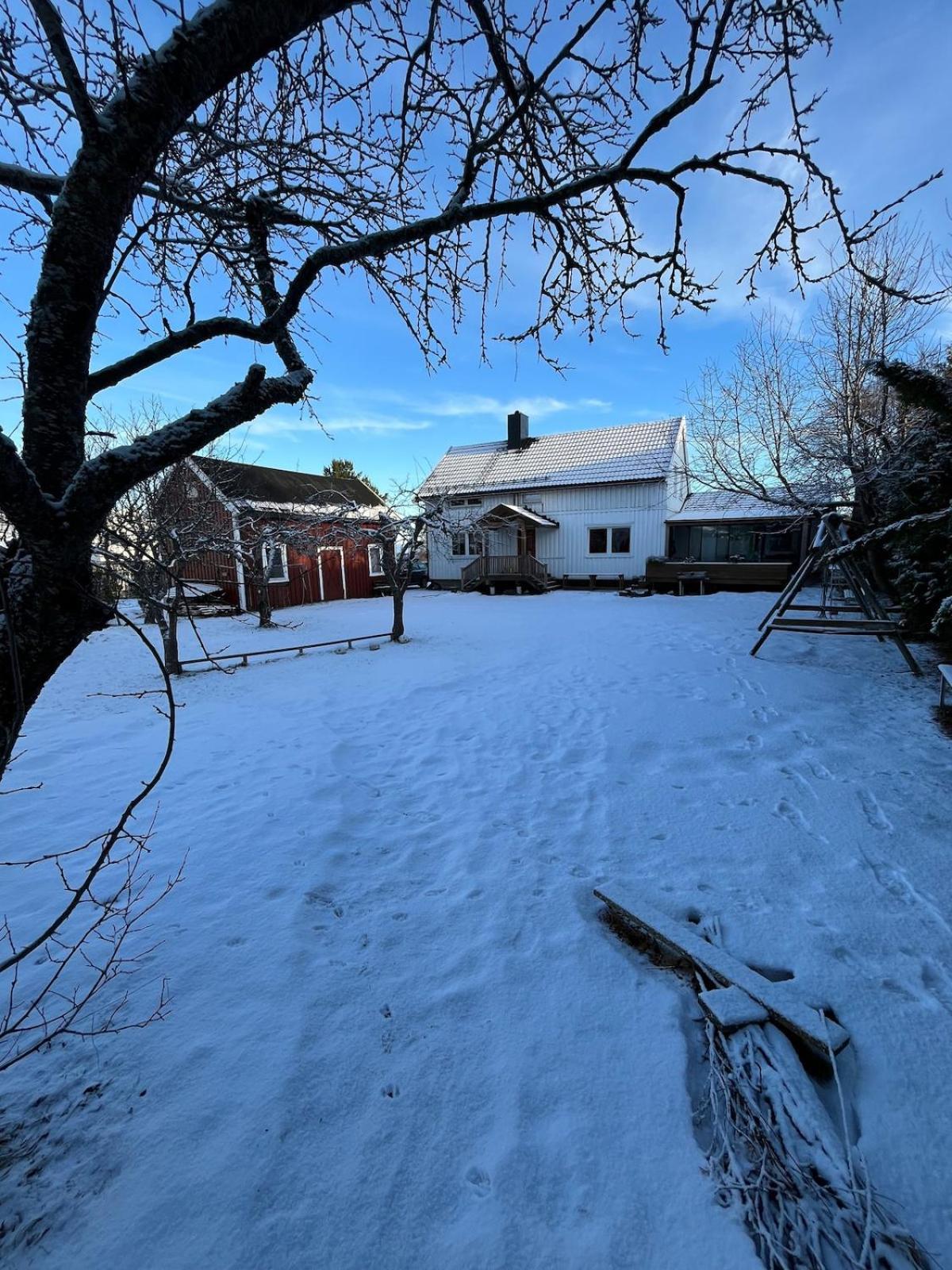 Older Villa With Large Garden Trondheim Luaran gambar